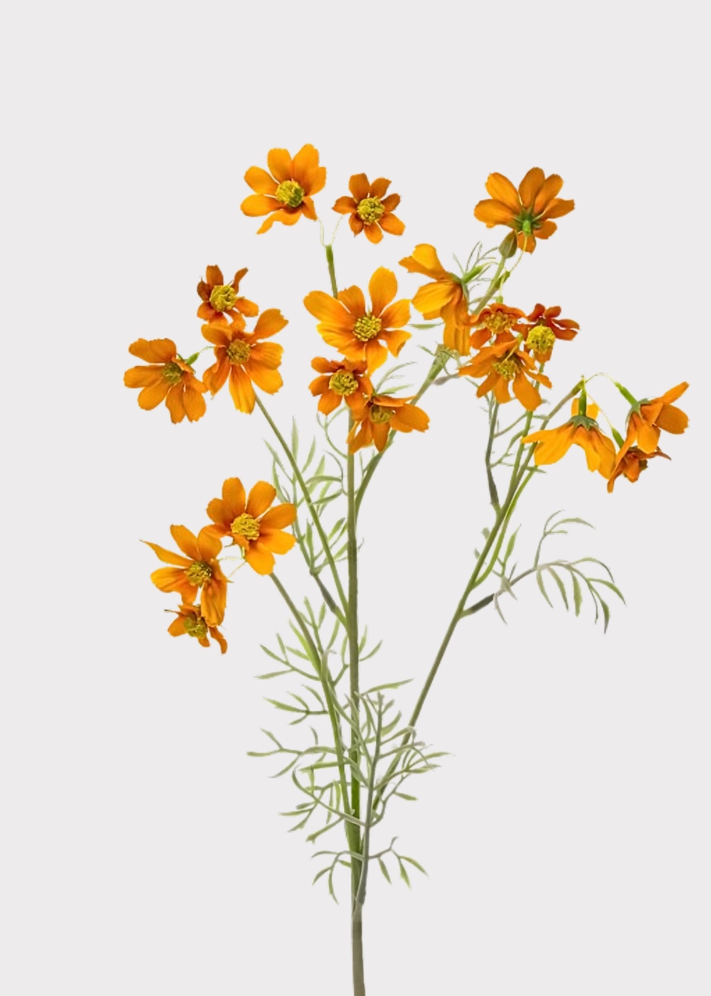 Orange Artificial Meadow Cosmos Wildflower Spray - 31"