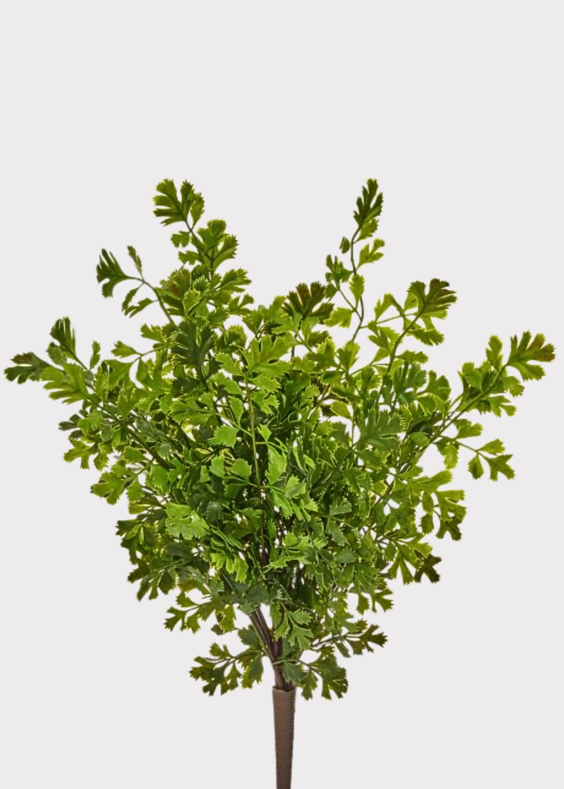 UV Treated Real Touch Fern Indoor/Outdoor Plant - 17"