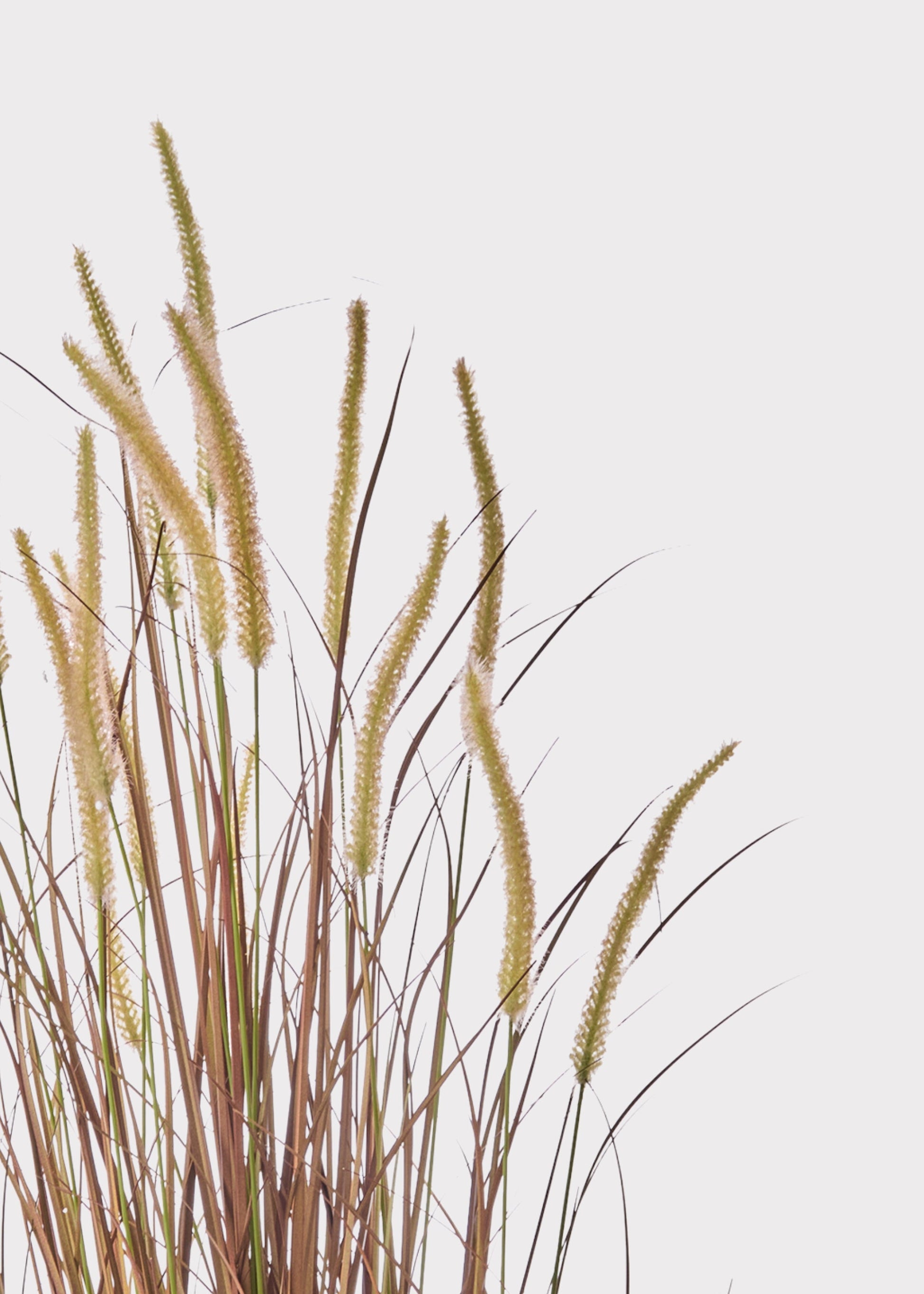UV Treated Outdoor Fake Autumn Brown Grass Potted Plant - 48"