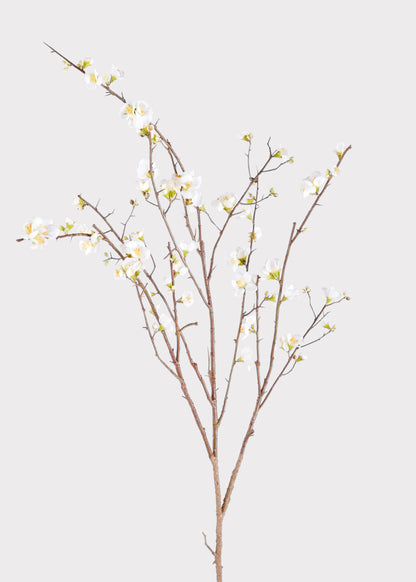 SAVE - Faux Quince Blossom Branch in Cream - 54"