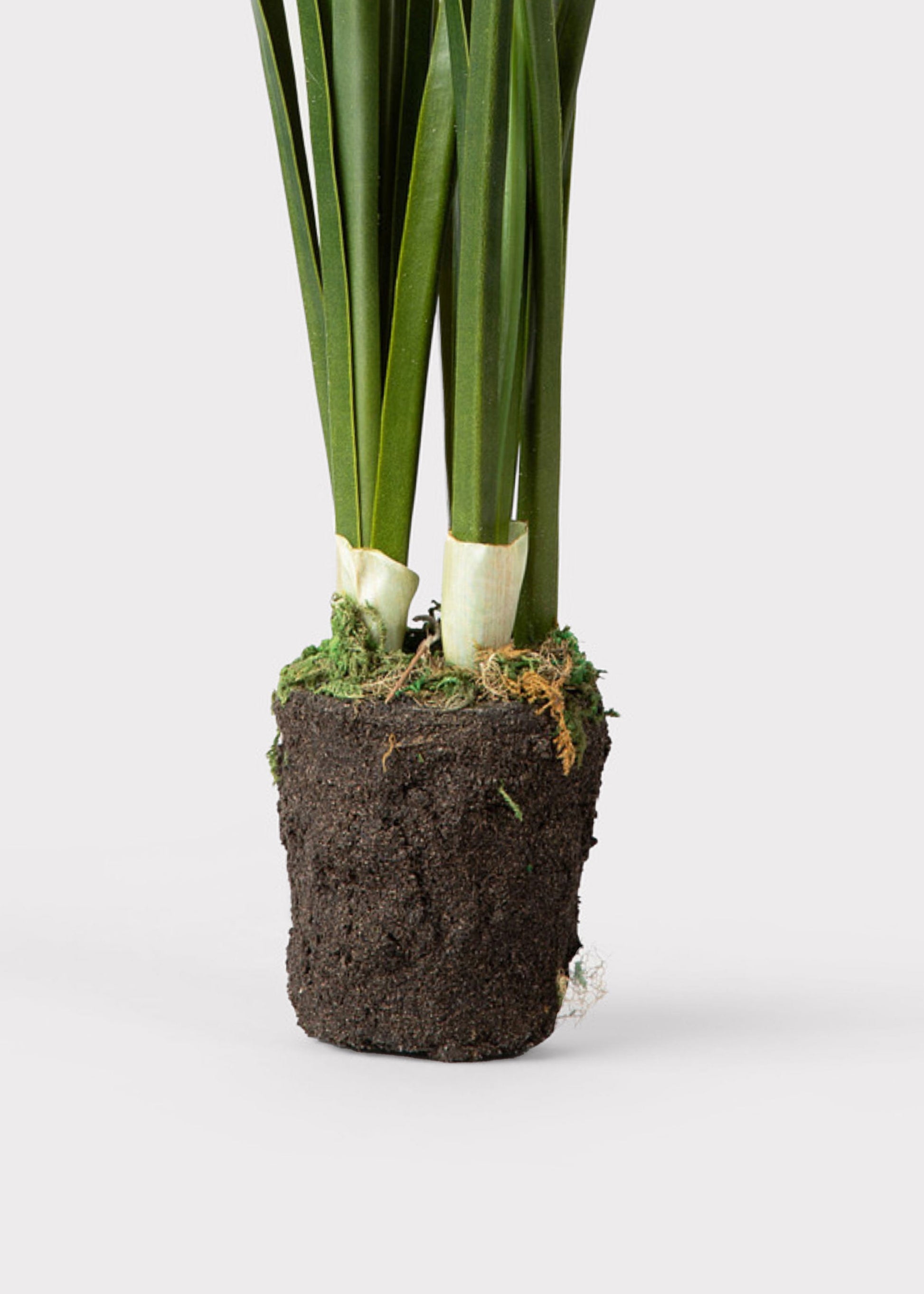 Artificial Spring Paperwhite Drop-In Plant - 17"