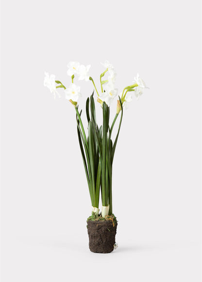 Artificial Spring Paperwhite Drop-In Plant - 17"
