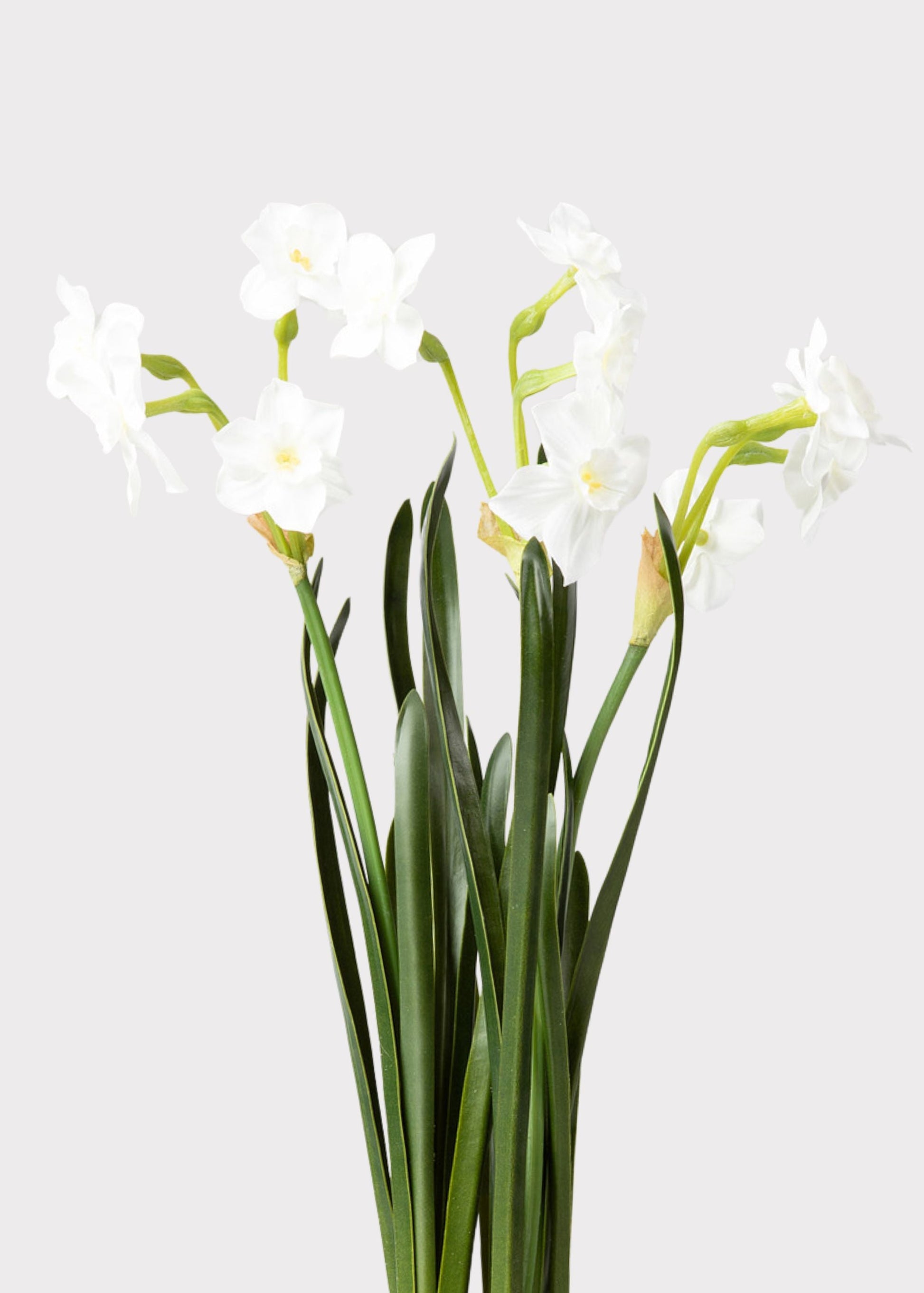 Artificial Spring Paperwhite Drop-In Plant - 17"