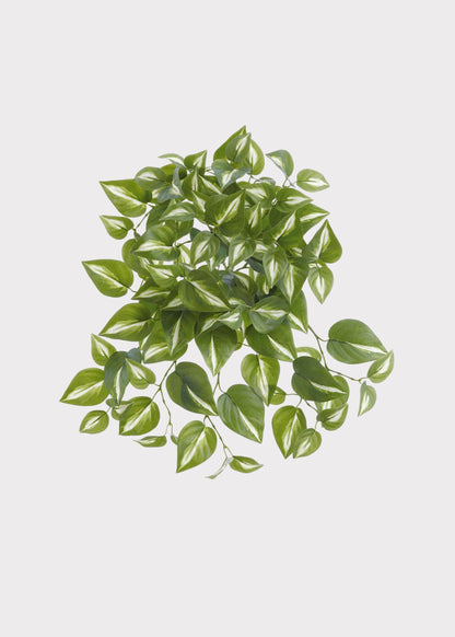 Artificial Philodendron UV Treated Indoor/Outdoor Hanging Plant - 16"