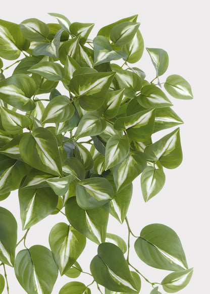 Artificial Philodendron UV Treated Indoor/Outdoor Hanging Plant - 16"
