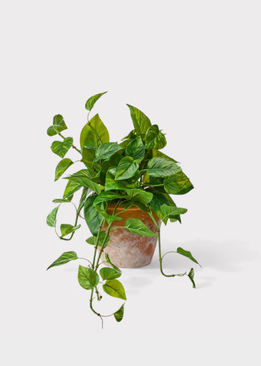 Outdoor UV Treated Pothos Real Touch Potted Plant - 13"