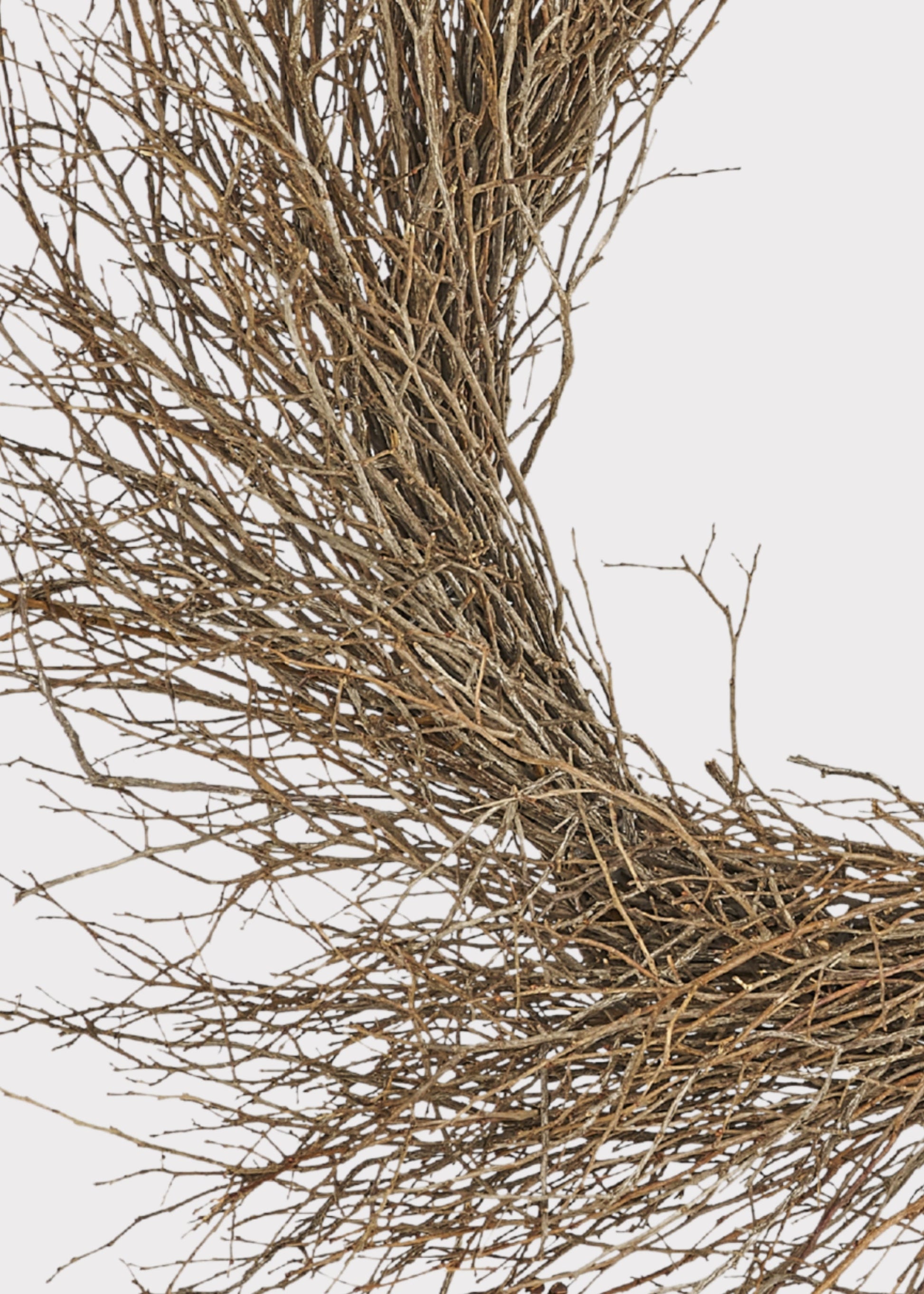 Natural Dried Sweet Huck Branch Wreath - 24"