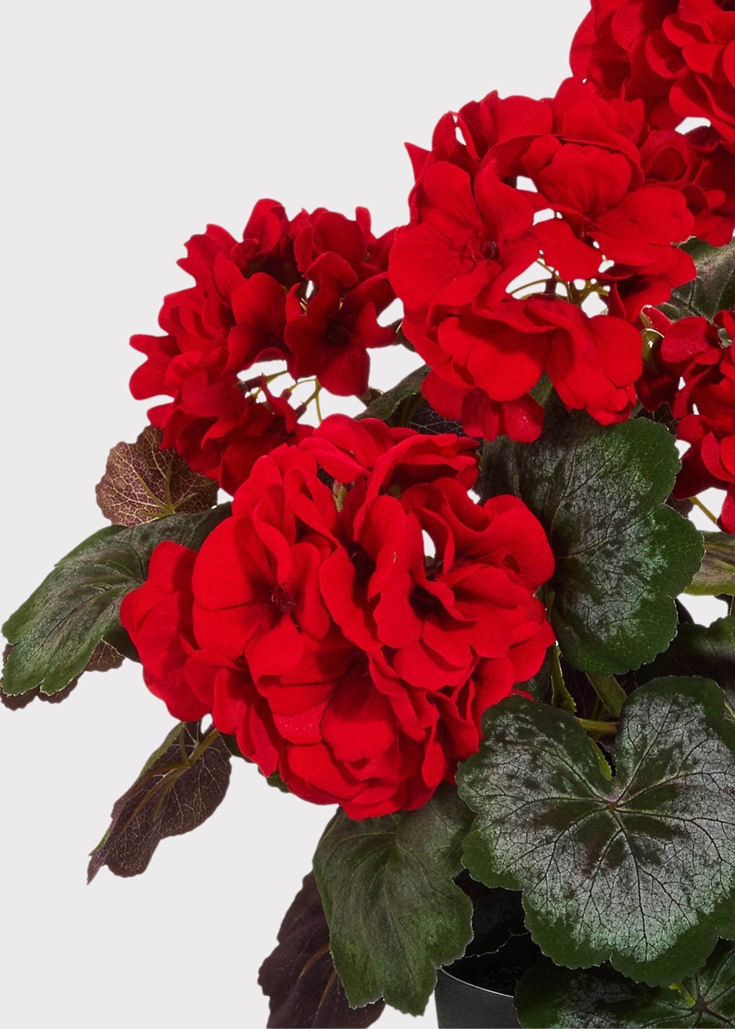 Red Artificial Geranium Potted Arrangement - 18"