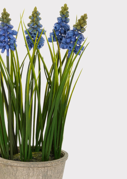 Blue Blooming Grape Hyacinth Fake Flower Potted Plant - 11.5"