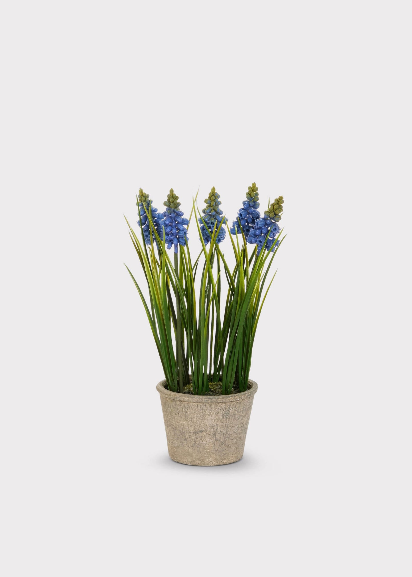 Blue Blooming Grape Hyacinth Fake Flower Potted Plant - 11.5"