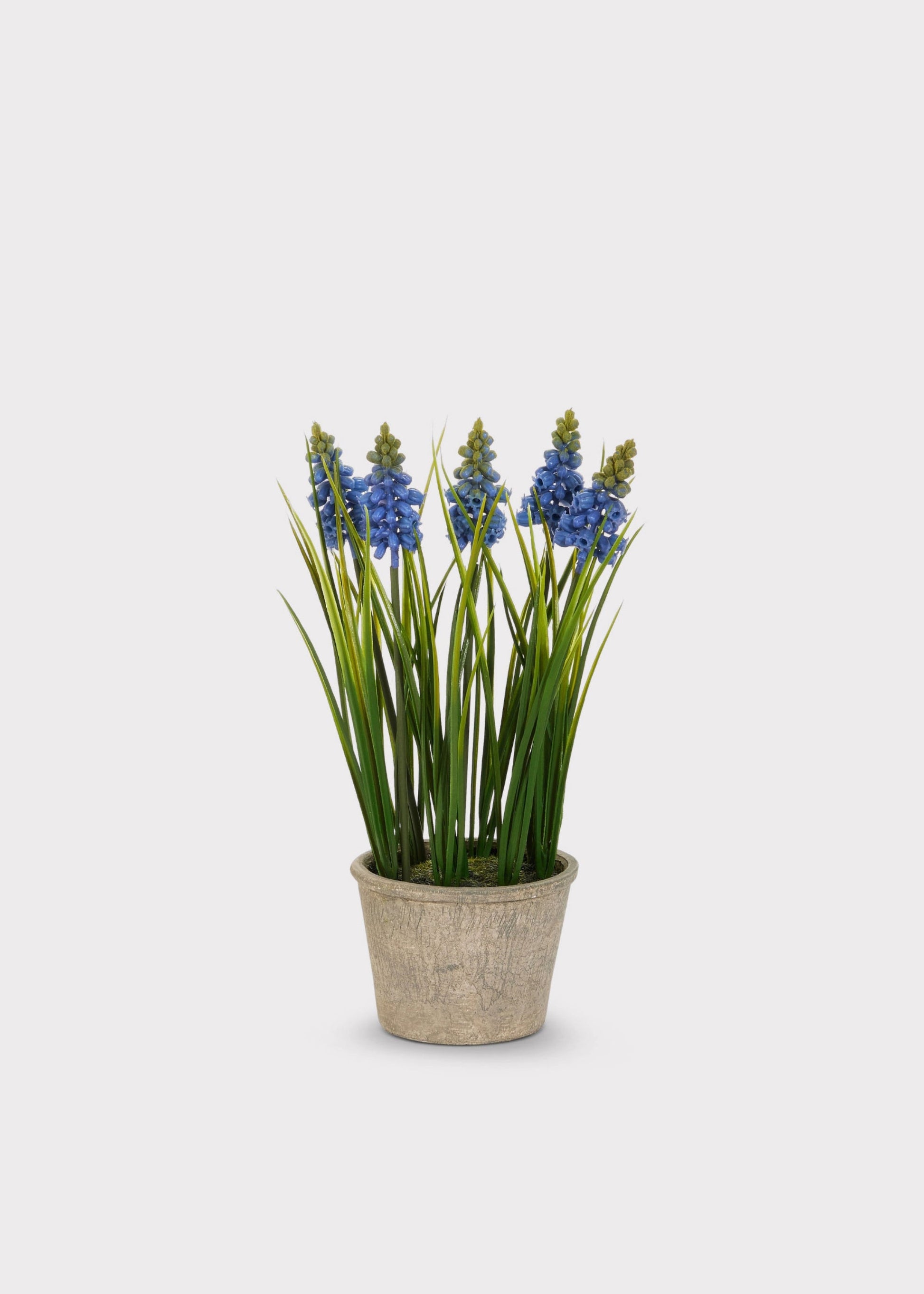 Blue Blooming Grape Hyacinth Fake Flower Potted Plant - 11.5"