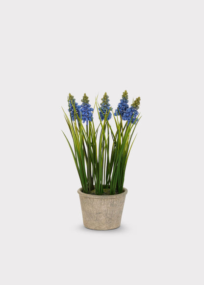 Blue Blooming Grape Hyacinth Fake Flower Potted Plant - 11.5"