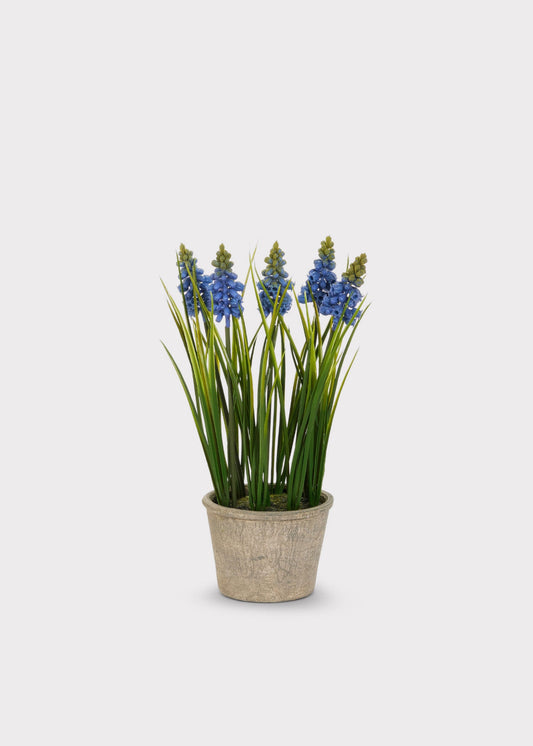 Blue Blooming Grape Hyacinth Fake Flower Potted Plant - 11.5"