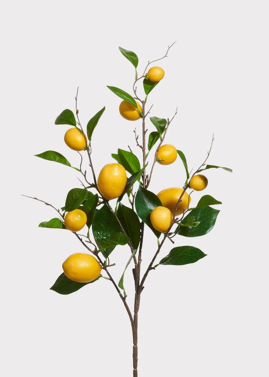 Fake Lemon Fruit Branch - 36"