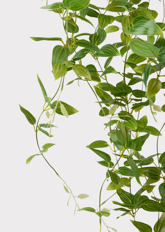 Deluxe Artificial Plants Hanging Tradescantia Houseplant- 41"