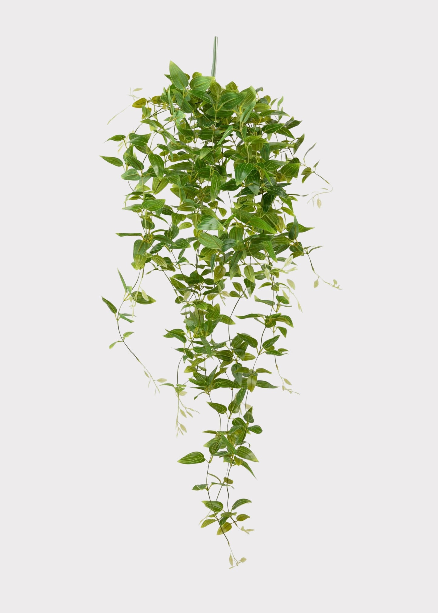 Deluxe Artificial Plants Hanging Tradescantia Houseplant- 41"