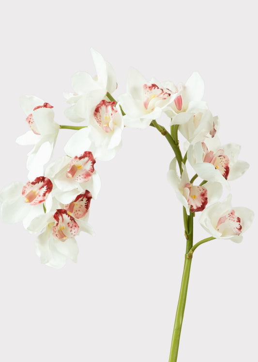 Large Natural Touch Cymbidium Orchid in White - 45"