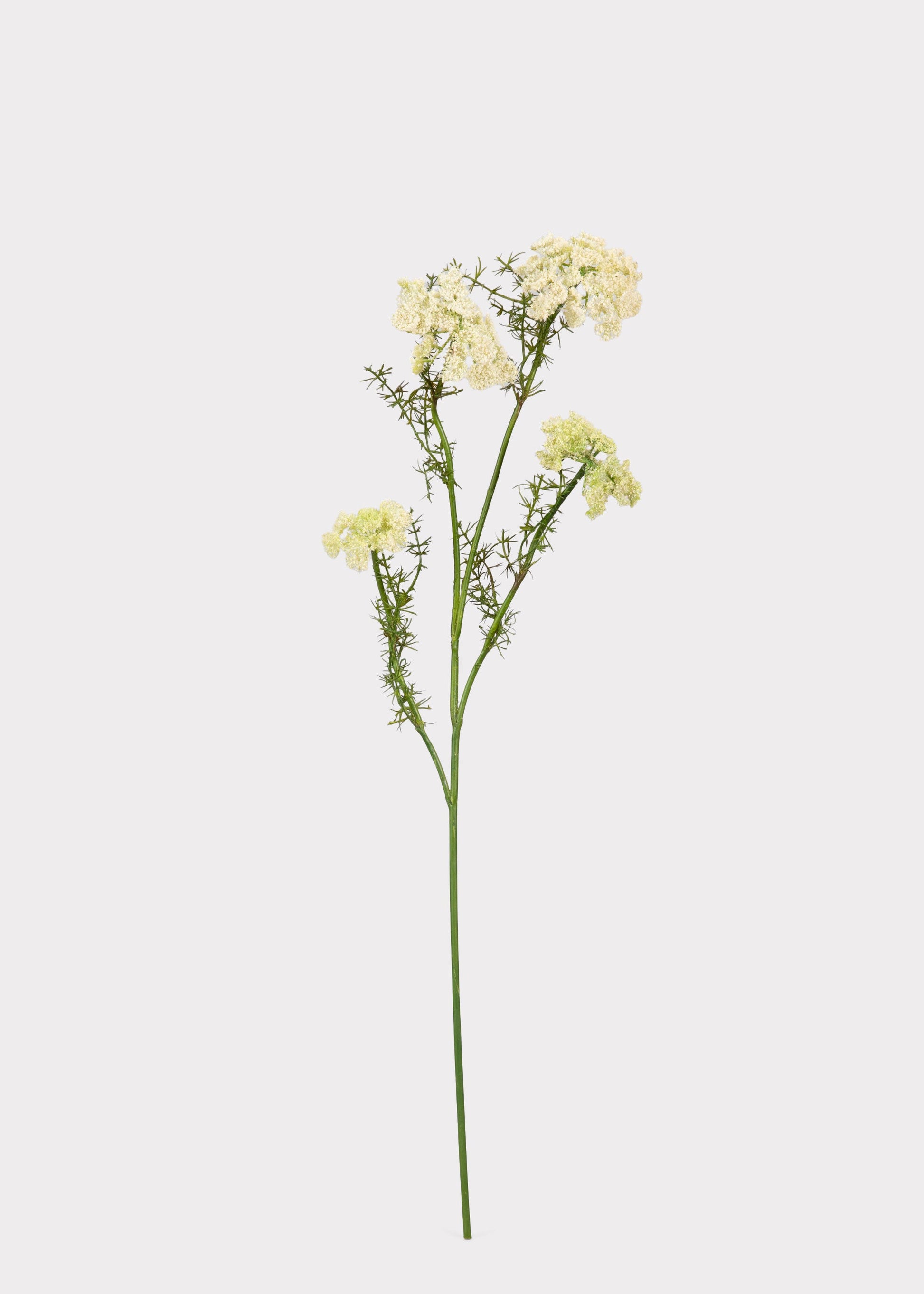 Artificial Dill Wildflower Branch - 33"