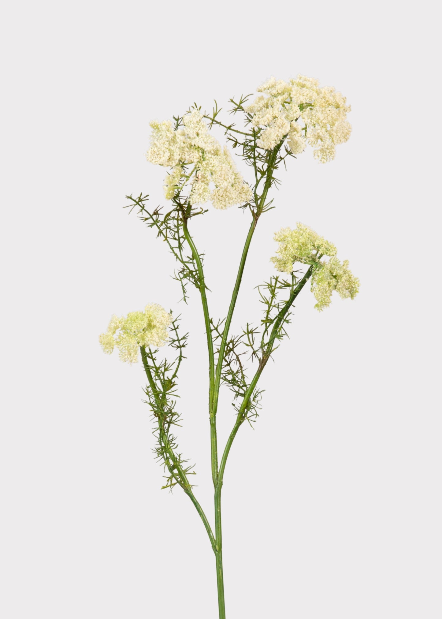 Artificial Dill Wildflower Branch - 33"