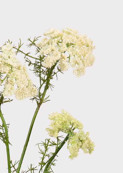 Artificial Dill Wildflower Branch - 33"