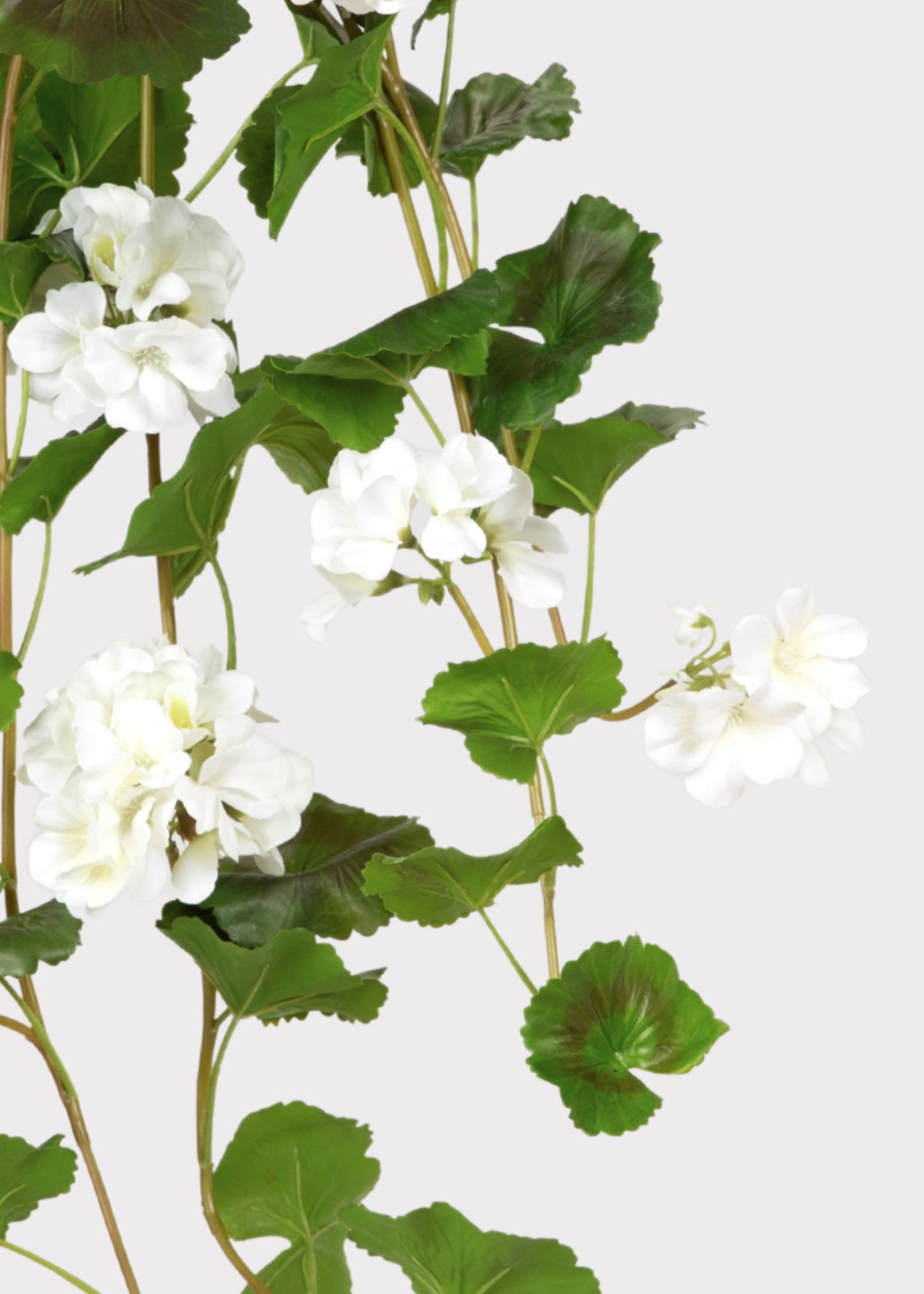 UV Treated Indoor/Outdoor Natural Touch Geranium Hanging Bush - 36"