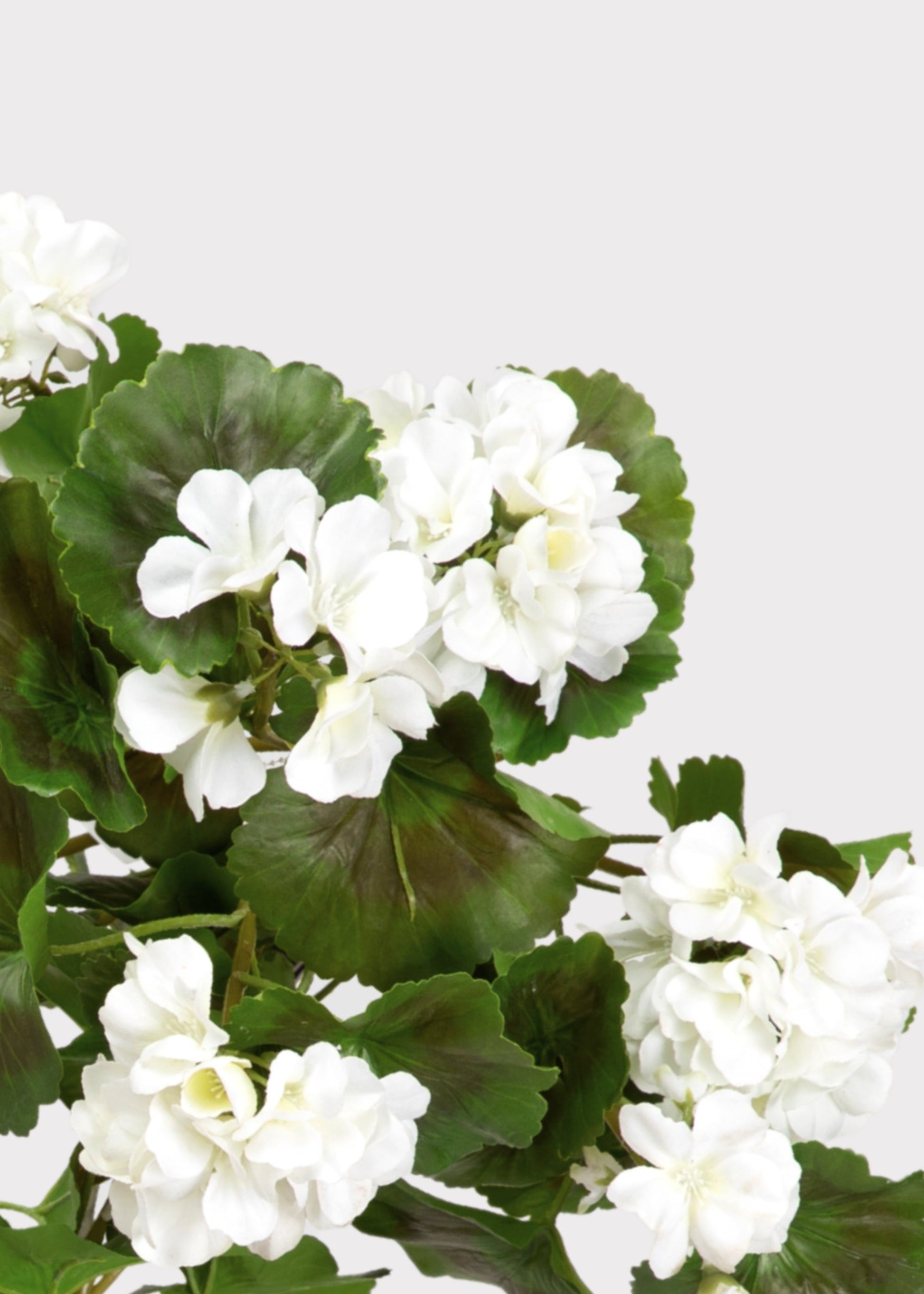 UV Treated Indoor/Outdoor Natural Touch Geranium Hanging Bush - 36"