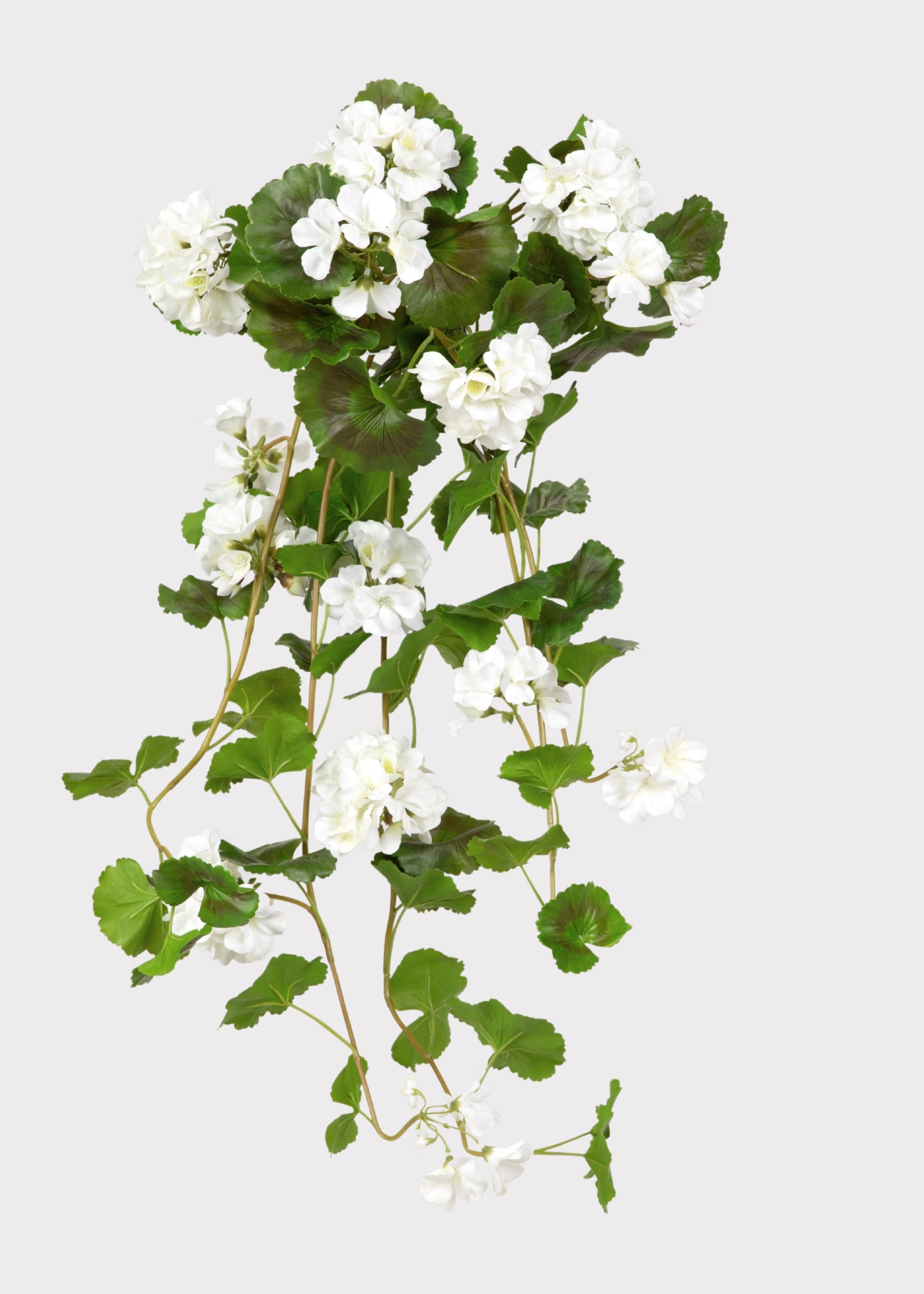 UV Treated Indoor/Outdoor Natural Touch Geranium Hanging Bush - 36"