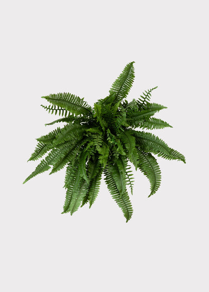 Large UV Resistant Outdoor Fake Boston Fern Plant - 38"