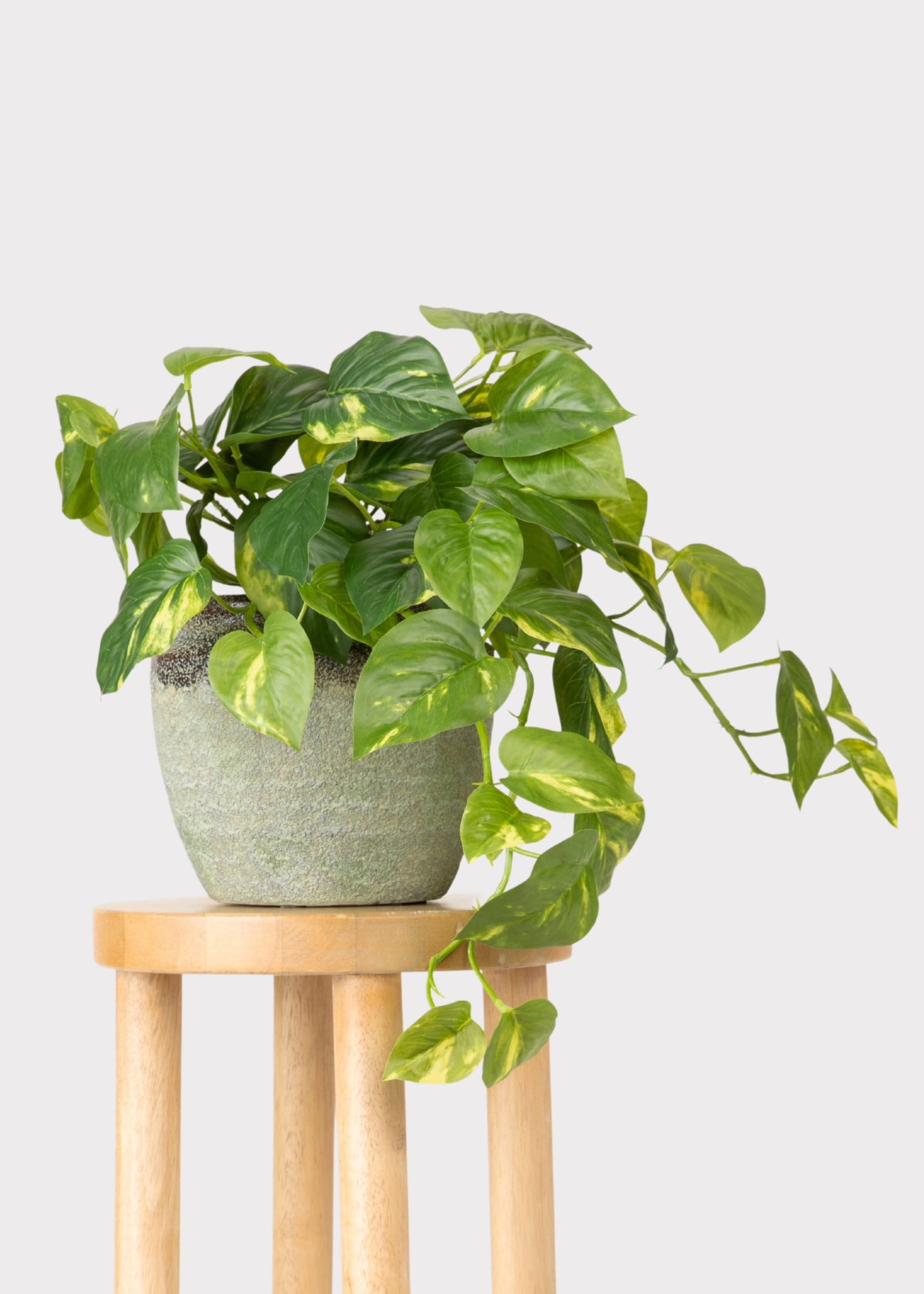 Artificial Pothos UV Treated Indoor/Outdoor Hanging Plant - 19"