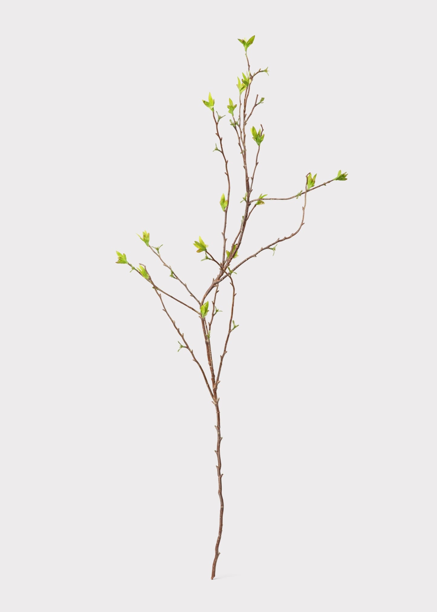Green Artificial Budding Spring Willow Branch - 41"