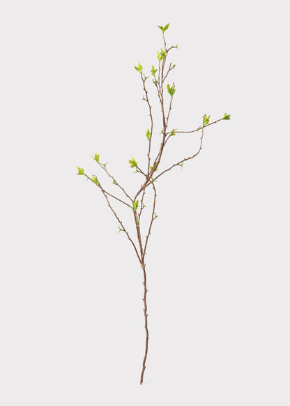 Green Artificial Budding Spring Willow Branch - 41"
