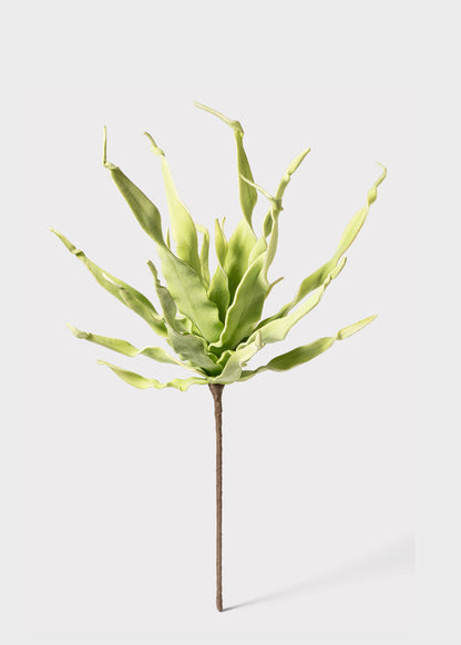 Fake Desert Succulent Spiral Dracaena Plant - 30"