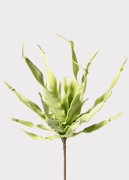 Fake Desert Succulent Spiral Dracaena Plant - 30"