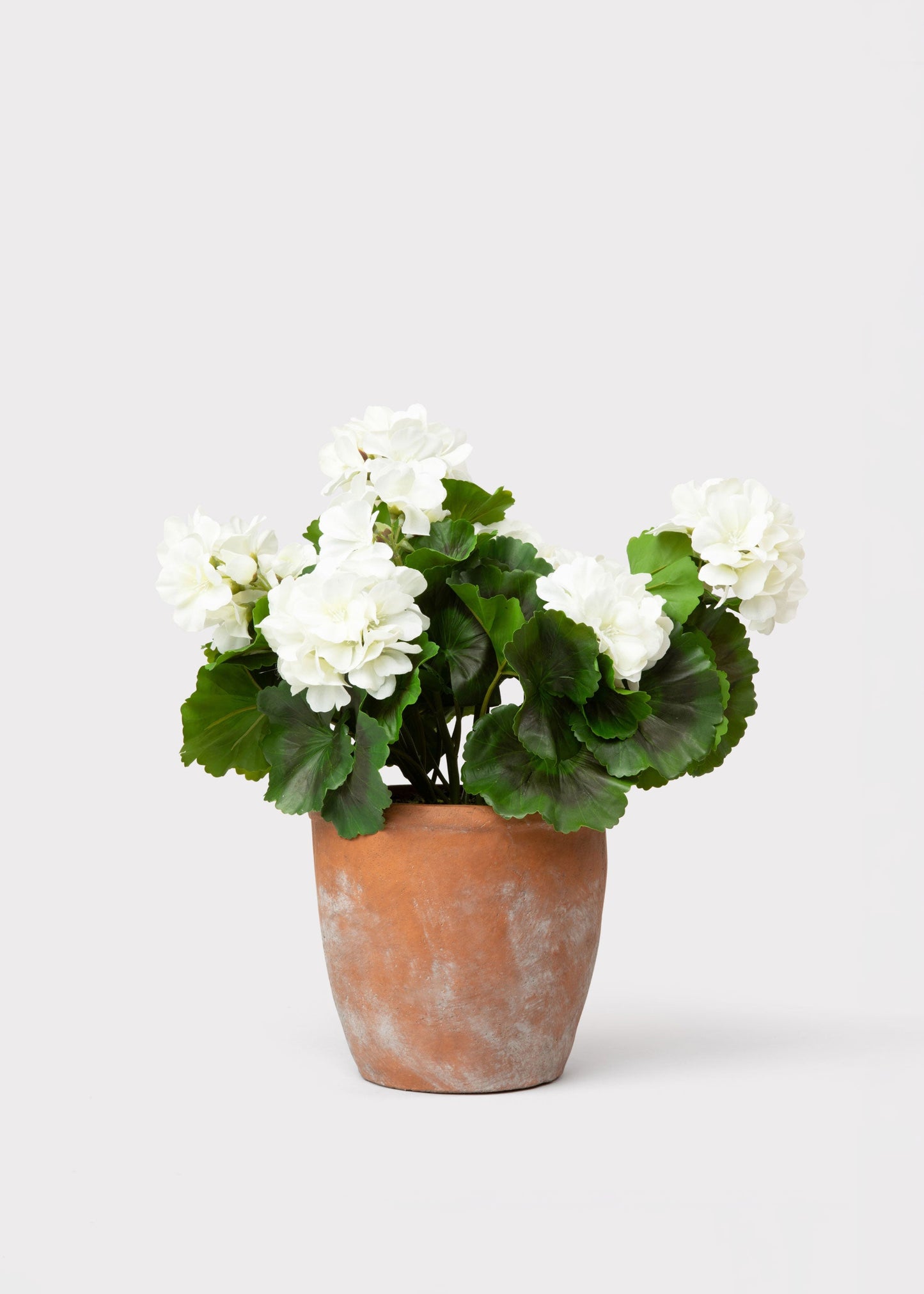 UV Treated Indoor/Outdoor Fake White Geranium Plant in Clay Pot - 16"