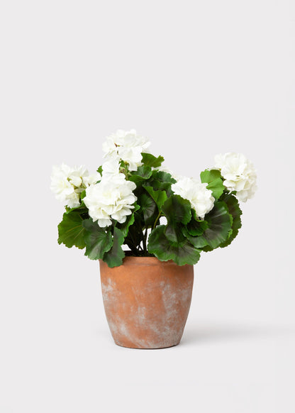UV Treated Indoor/Outdoor Fake White Geranium Plant in Clay Pot - 16"