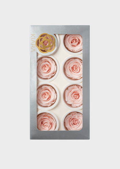 Box of 8 Pink Beige Preserved Rose Heads - 1.75-2" Wide
