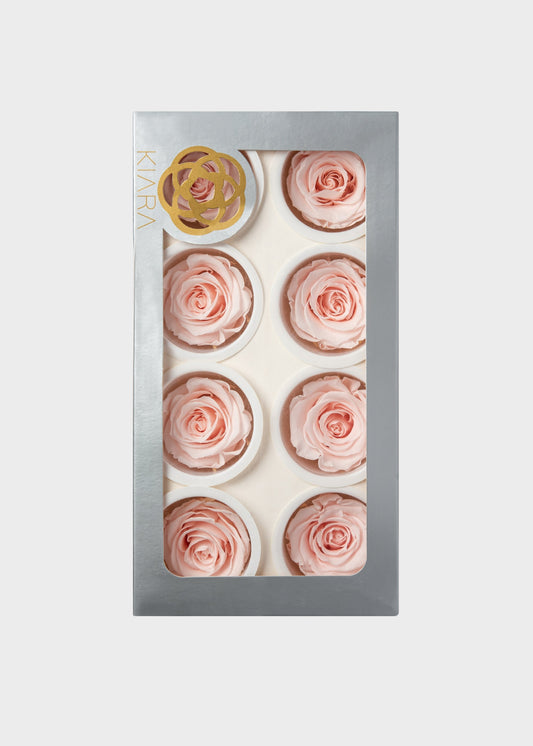 Box of 8 Pink Beige Preserved Rose Heads - 1.75-2" Wide