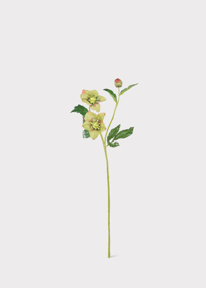 Green Burgundy Artificial Helleborus Flower - 22"
