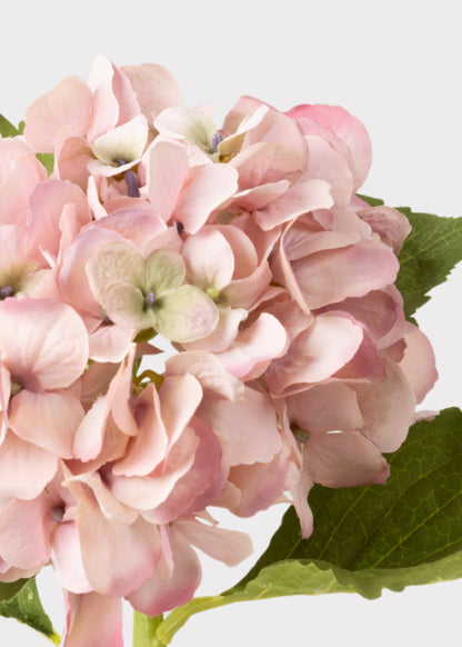 Small Hydrangea Artificial Flower in Antique Pink - 19"