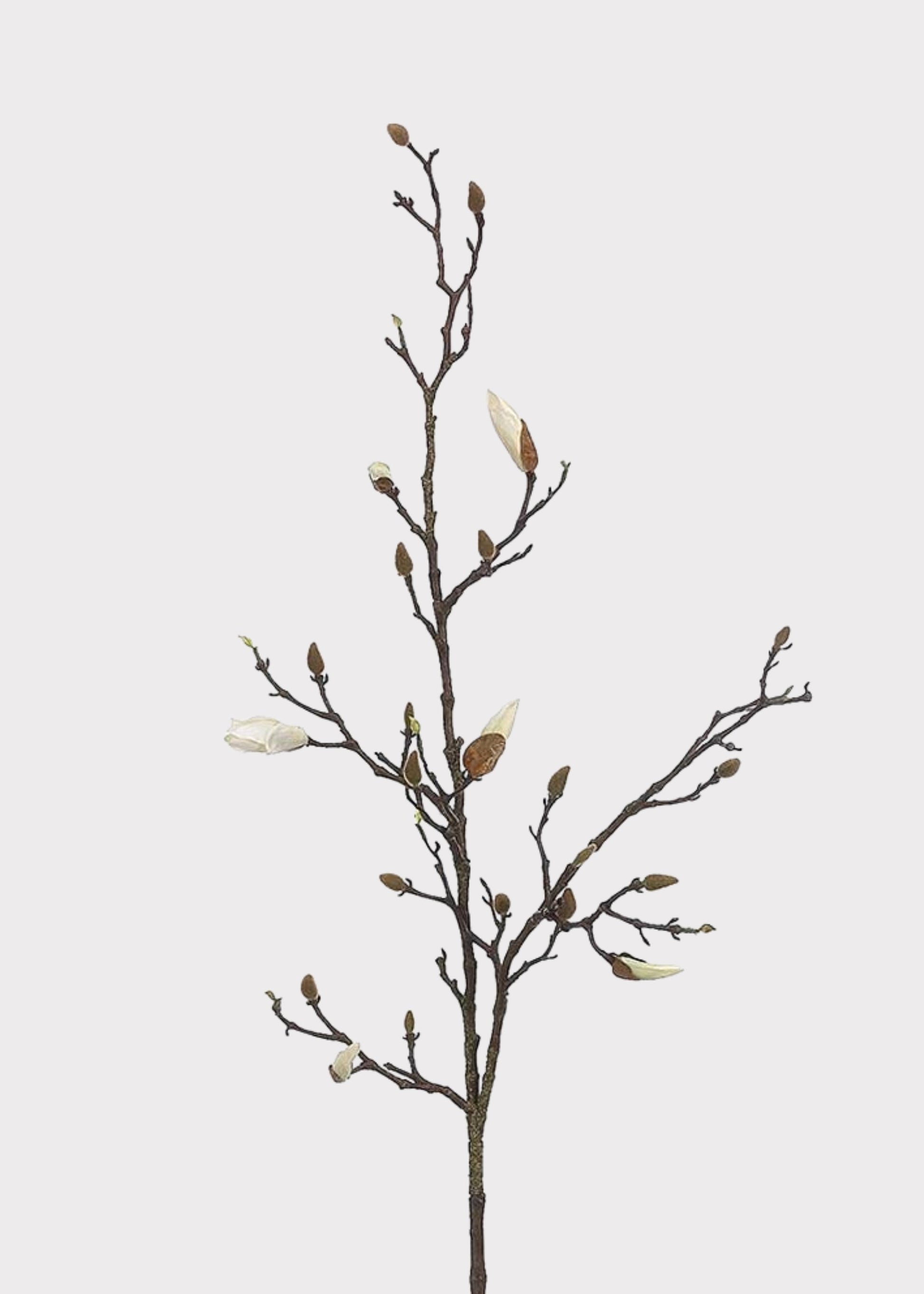 Cream White Tall Budding Magnolia Fake Flower Branch - 53"