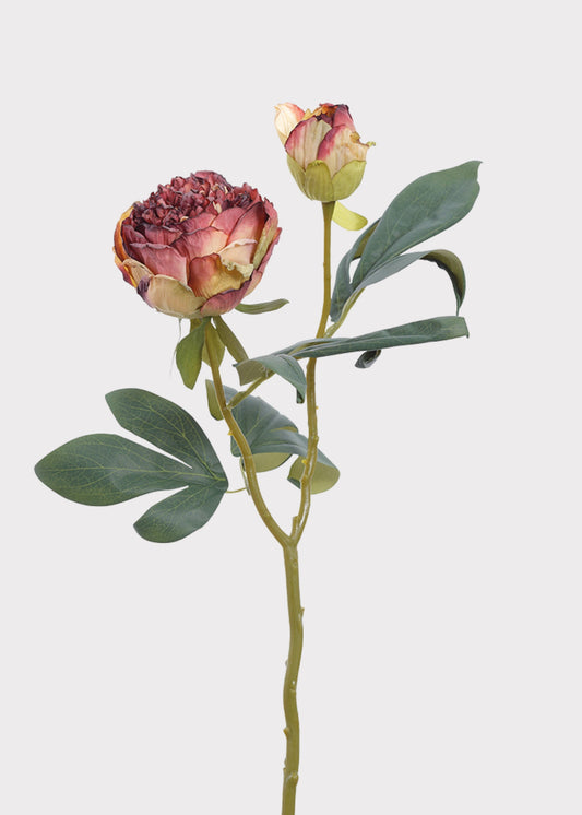 Burgundy Artificial Petite Peony Flower - 19"