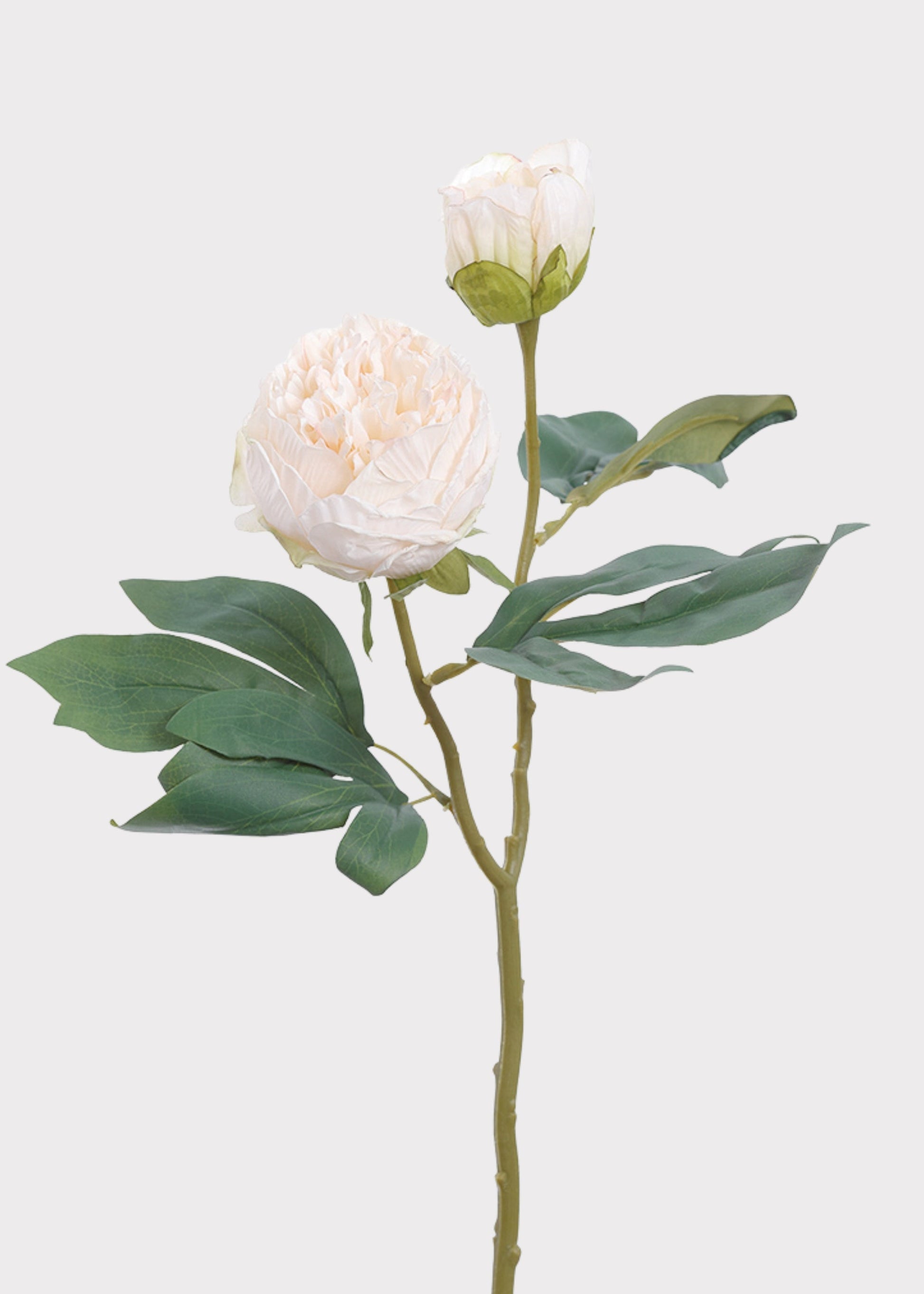 Petite Peony Fake Flower in Cream Blush - 19"