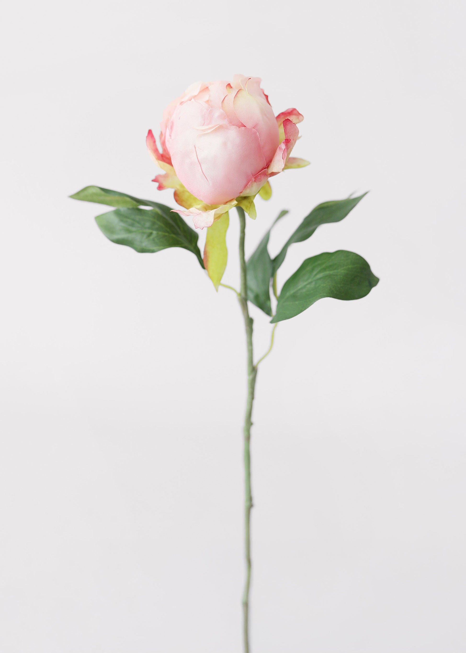 Pink Artificial Flower Peony Bud - 18"