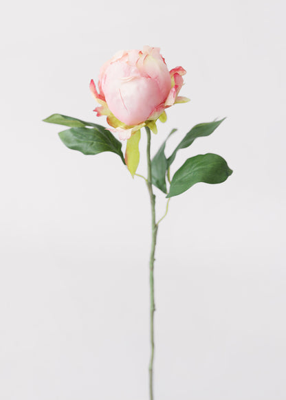 Pink Artificial Flower Peony Bud - 18"