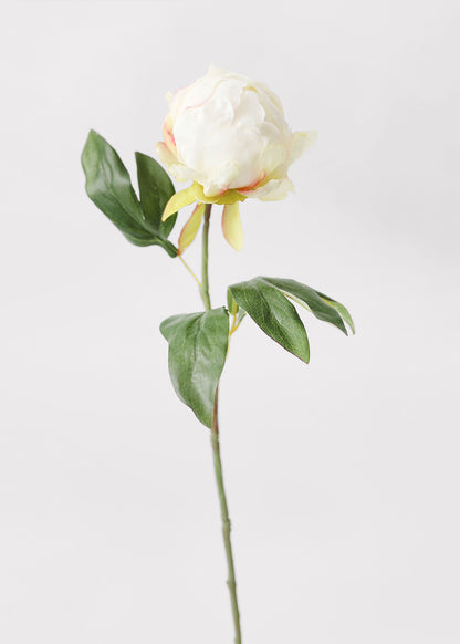 Artificial Flower Peony Bud in Cream - 18"