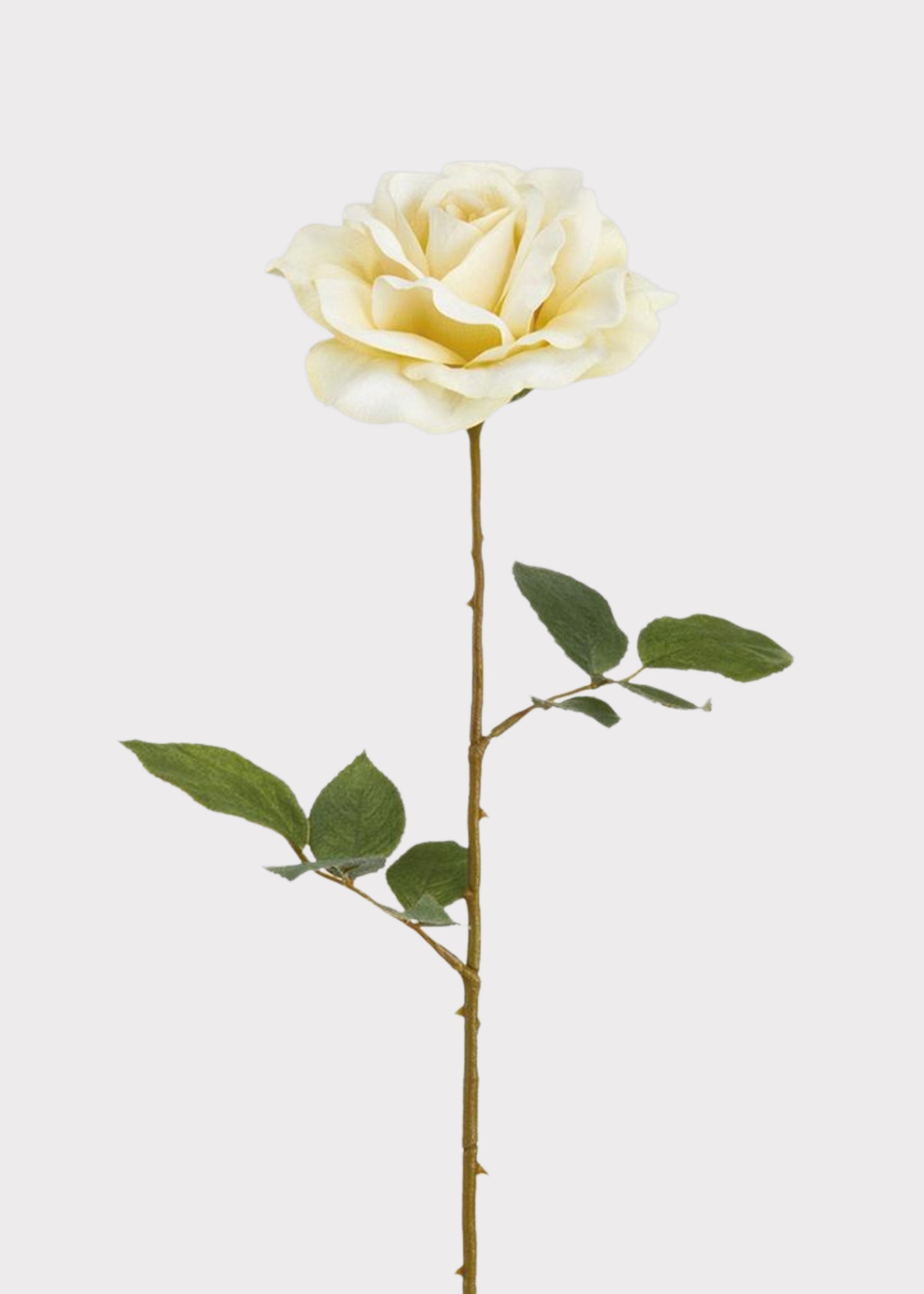 Ivory Artificial Rose Flower - 25"