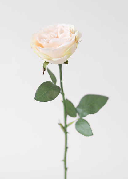 Fake English Cabbage Rose in Pink Apricot - 20.5"