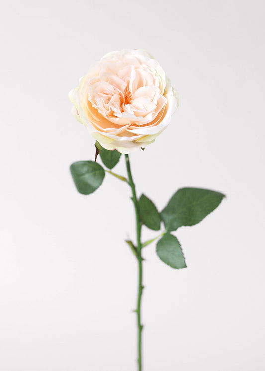 Fake English Cabbage Rose in Pink Apricot - 20.5"