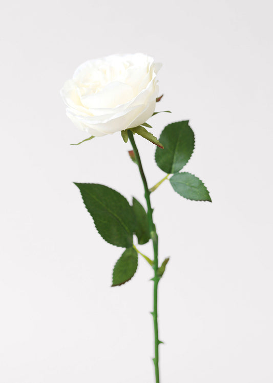 White Fake English Cabbage Rose - 20.5"