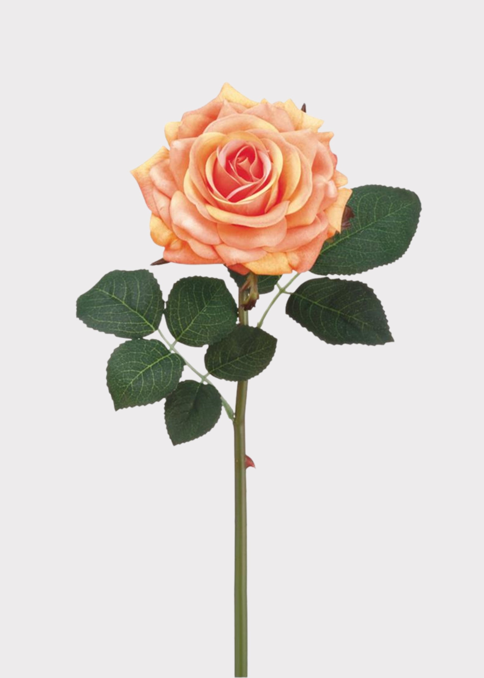 Real Touch Rose in Peach - 12"
